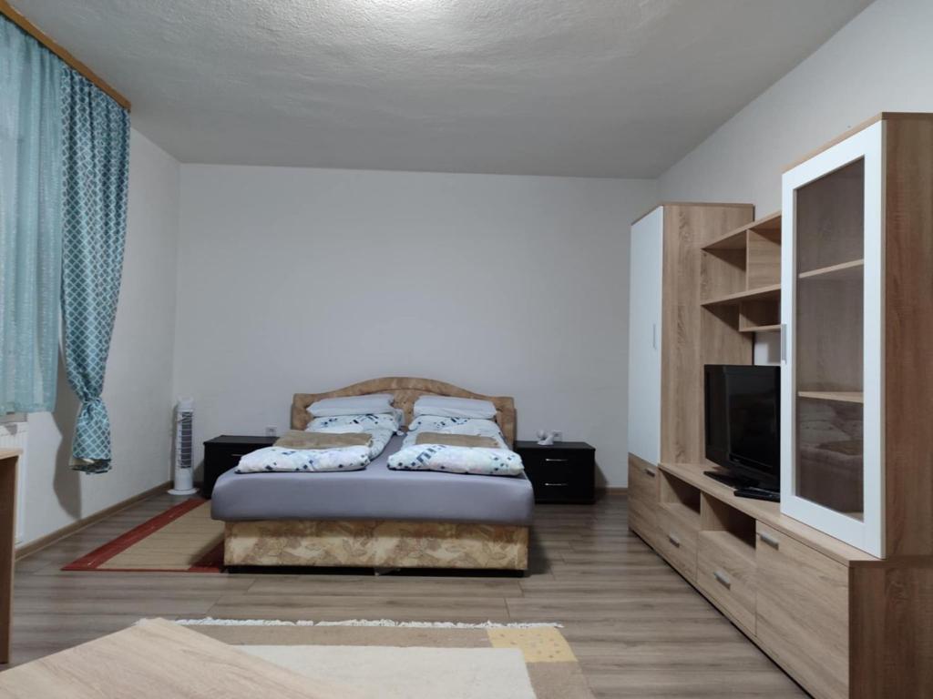 Apartment Hatinac - 1