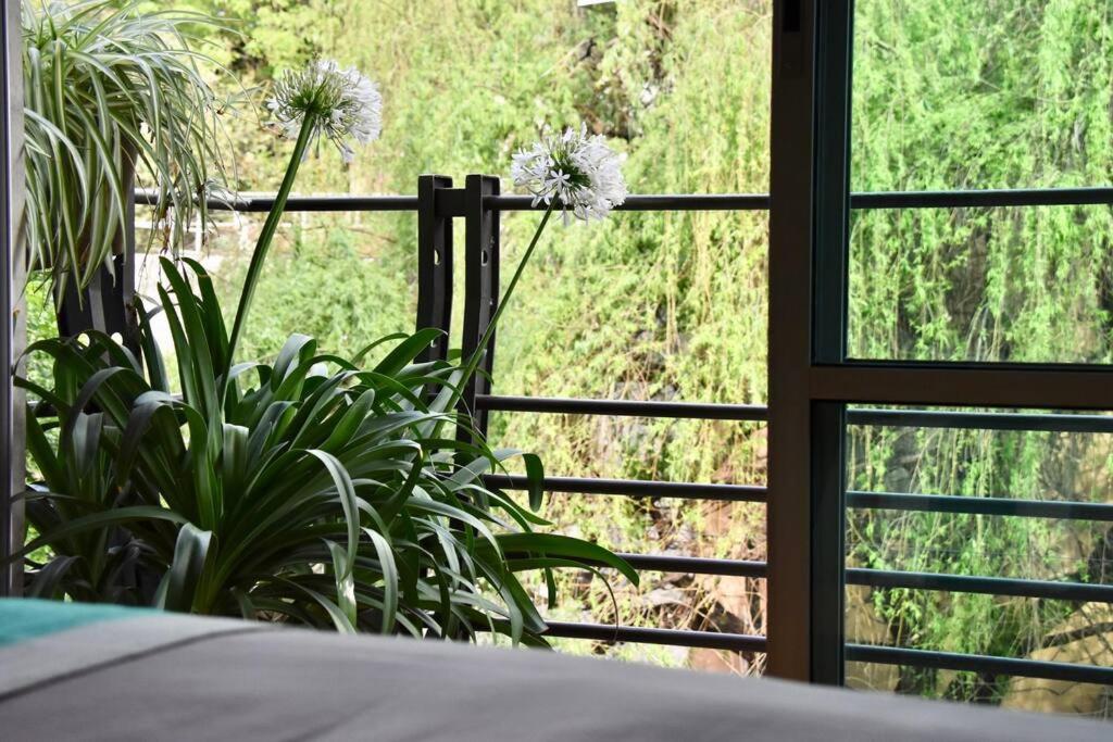 Beautiful LOFT in Trendy ROMA-CONDESA Elevator - 5
