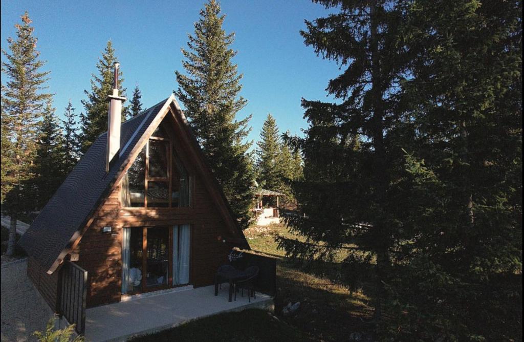 Wonderwood Cabin 2 - 2