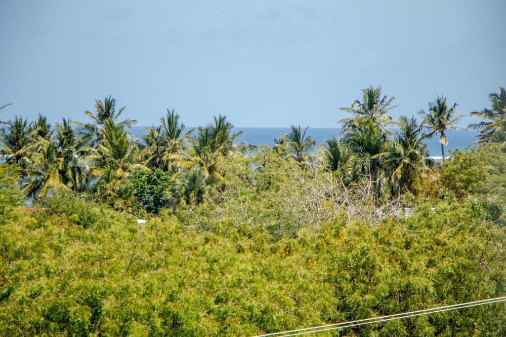 ทัศนียภาพ