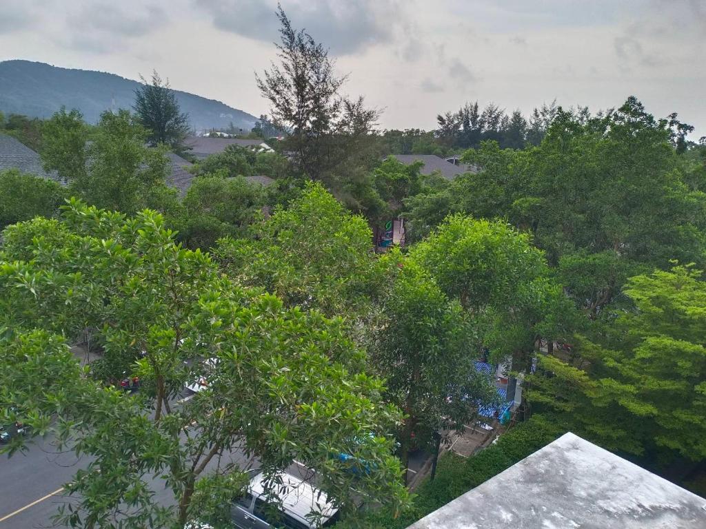 View