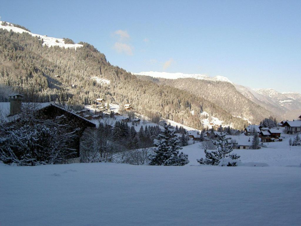 Rez de chalet calme avec terrasse - 2 chambres, proche pistes à La Clusaz - FR-1-437-10 - 5