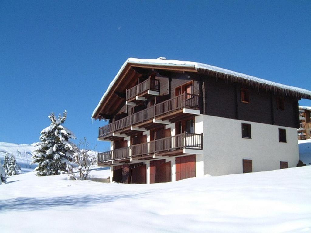 Appartement cosy aux Saisies, 6 pers, plein sud, proche centre - 3