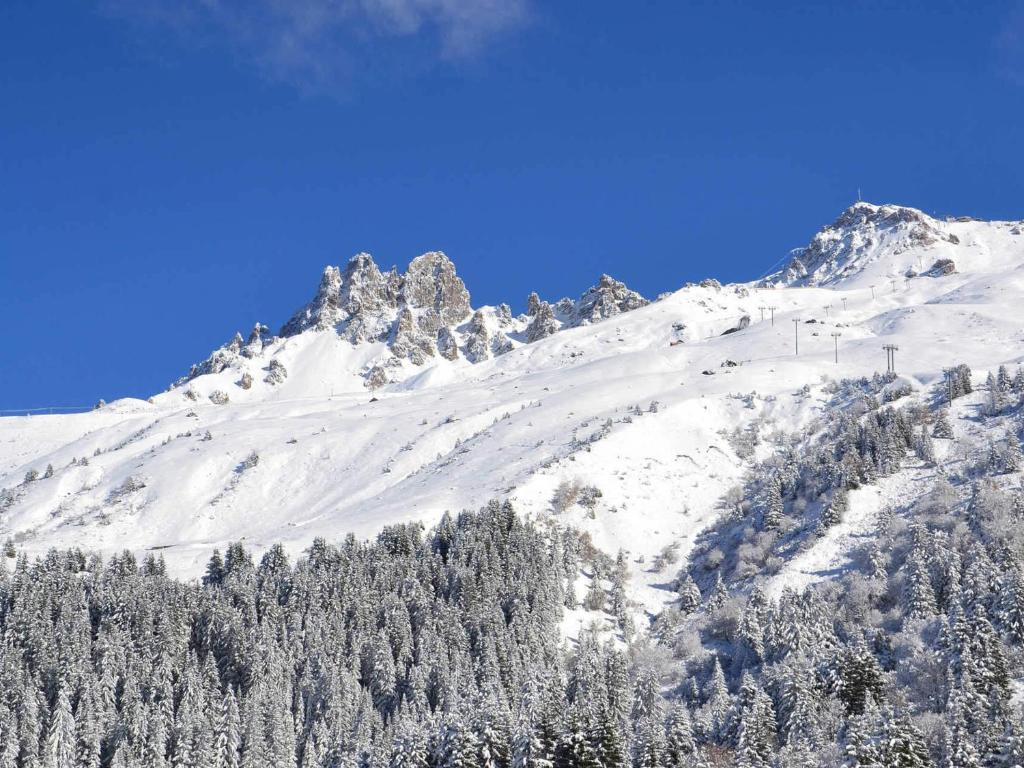 Studio divisible skis aux pieds, animaux admis - FR-1-182-193 - 3