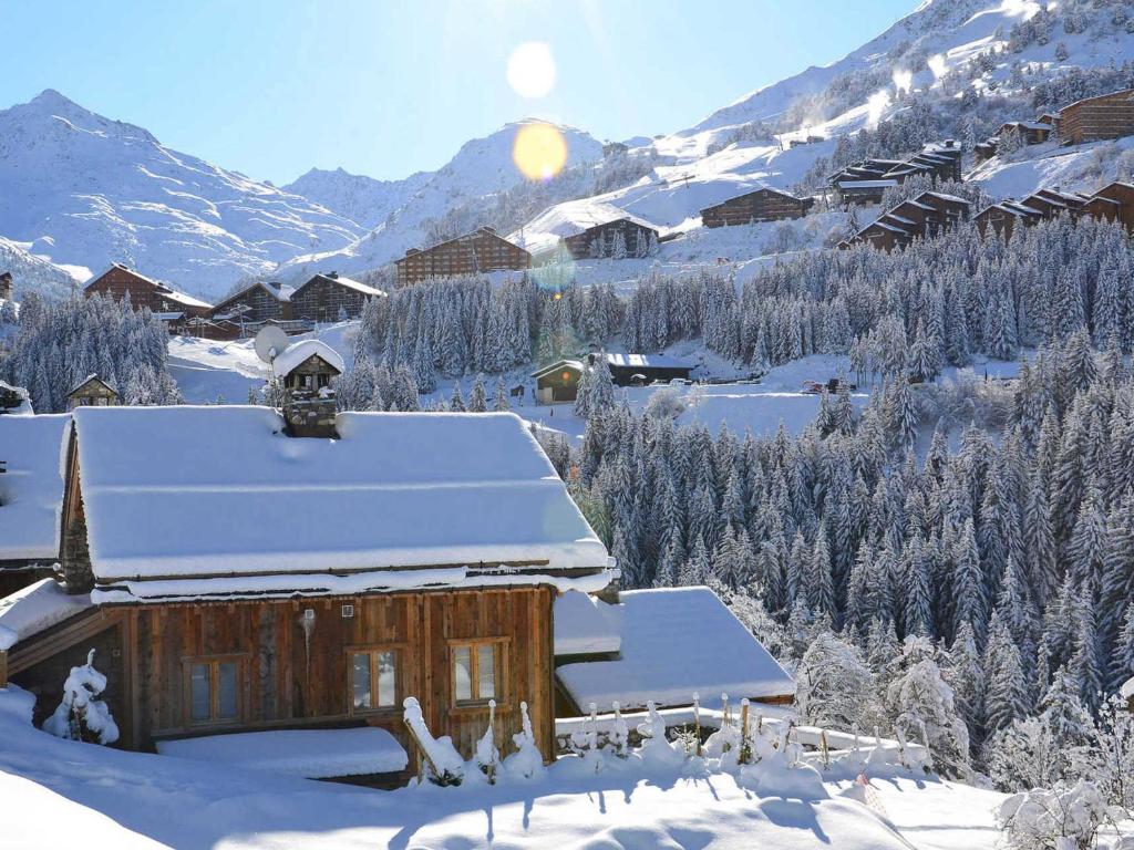 Charmant chalet 2 pièces avec terrasse à Méribel - FR-1-182-179 - 3