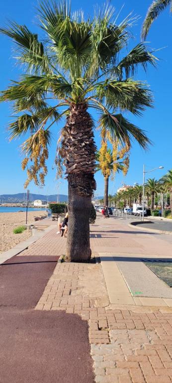Appartement f2 au bord de mer - 2
