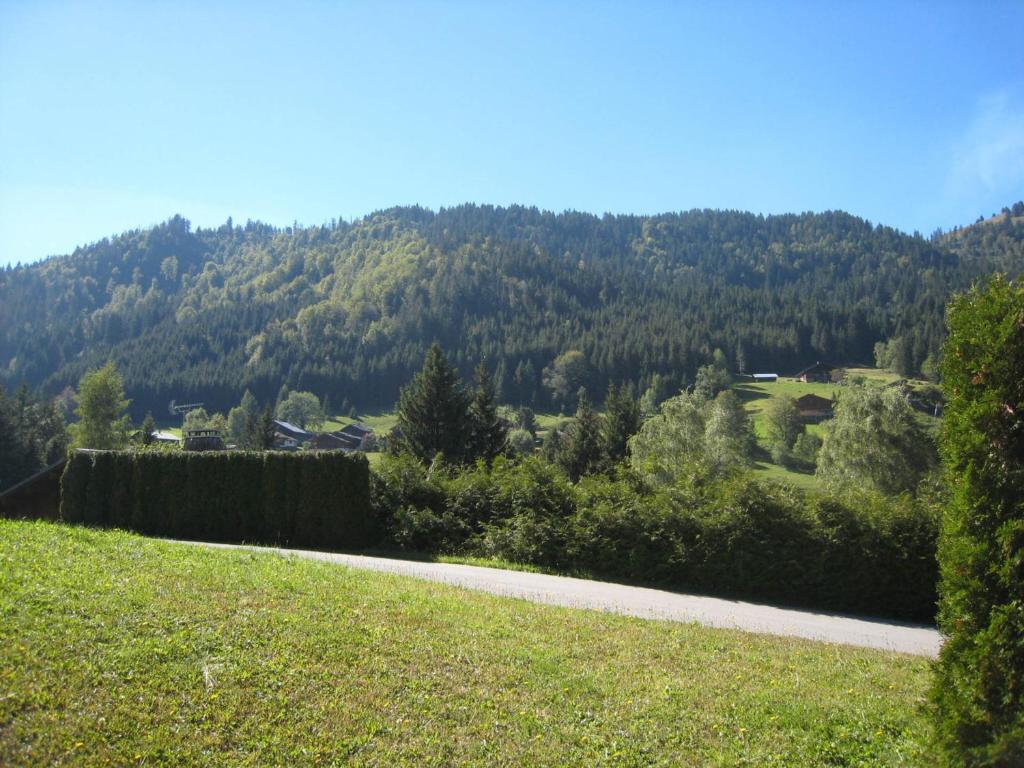 Charmant studio avec terrasse et WIFI à La Clusaz - FR-1-459-64 - 3