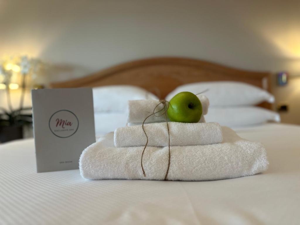 Palace Hotel Desenzano — Hotel rooms in Desenzano del Garda, Lombardy