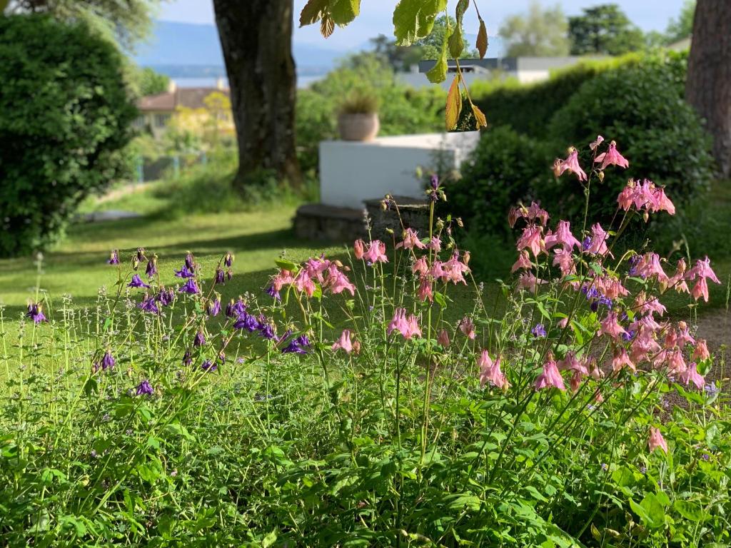 'Le Petit Clos Suites'- Charming Getaway on Leman Lake - 4
