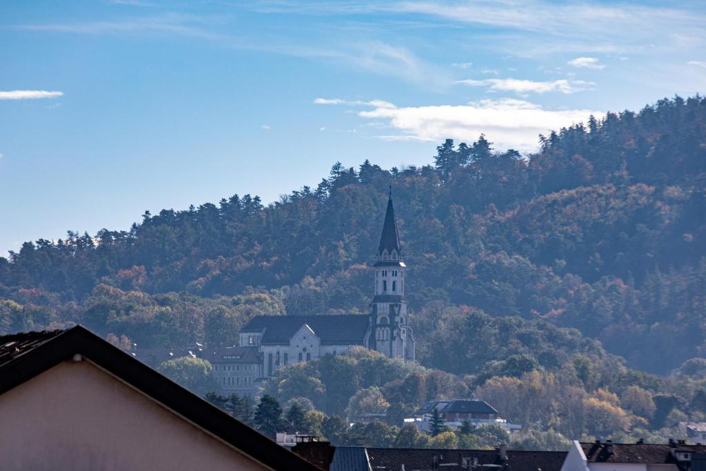 Le Cygne - vue montagne - proche du centre ville - 4