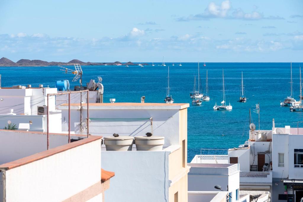 Cozy Studio for Solo Traveller or Young Couple with Stunning View to the Ocean - 1