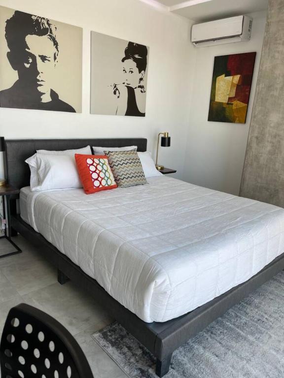 TJ Amazing and stylish 3 BR Condo - 5