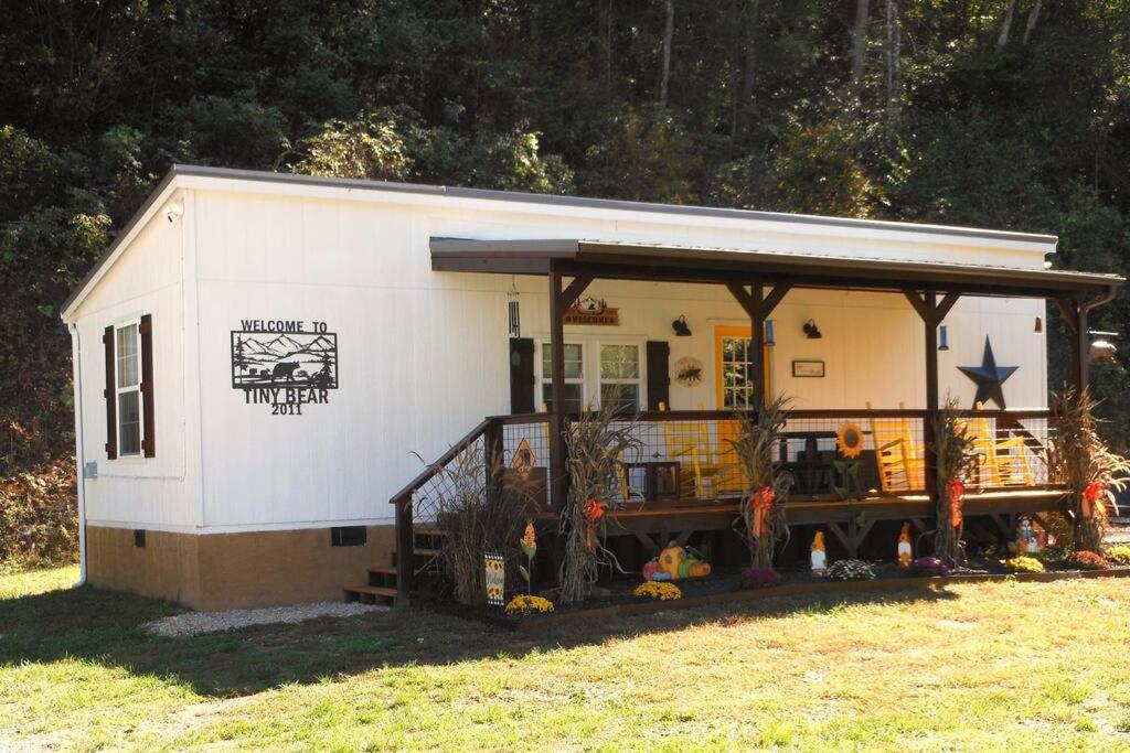Tiny Bear, Sevierville