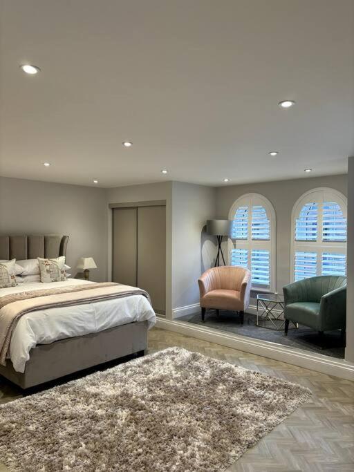 The Colonel, Lisburn