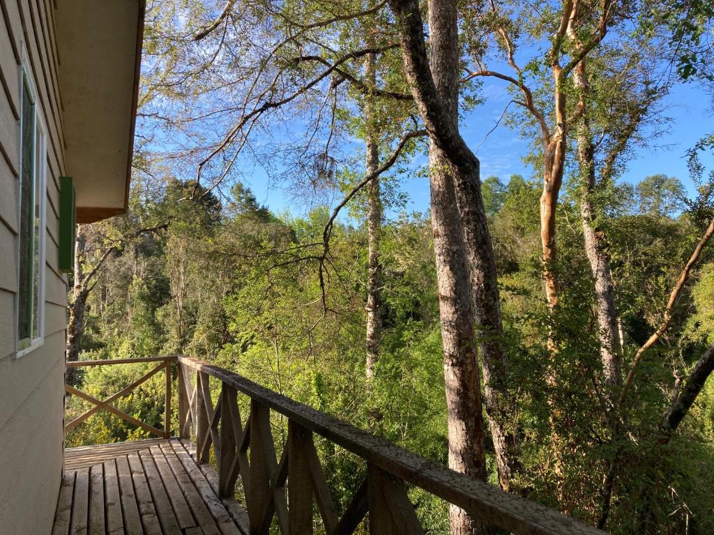 Los Canelos de Cayumapu - 2