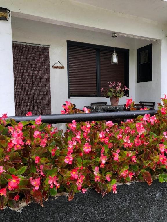 Libarona Goya, Gatica