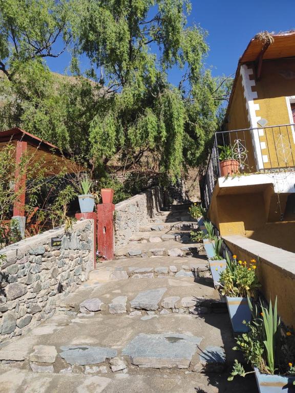 POSADITA LOS ALAMOS Alojamiento de montaña estamos en San Isidro a 8km pasando Iruya lea atentamente la descripción solo se hace caminando Turismo aventura - 2