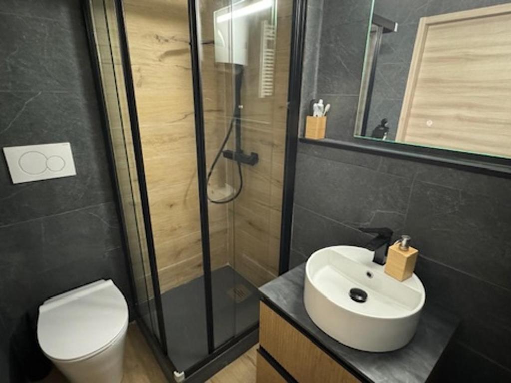 Studio charmant proche pistes et commerces avec parking, balcon, animaux acceptés - FR-1-445-210 - 4
