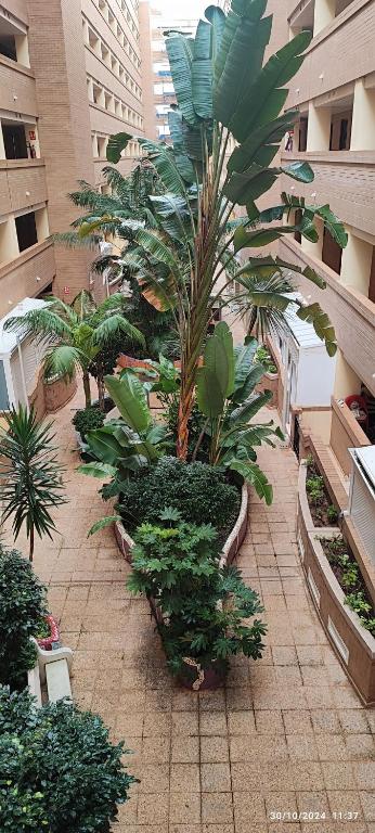 Costa Caribe I World, Classic - ServHouse - 5