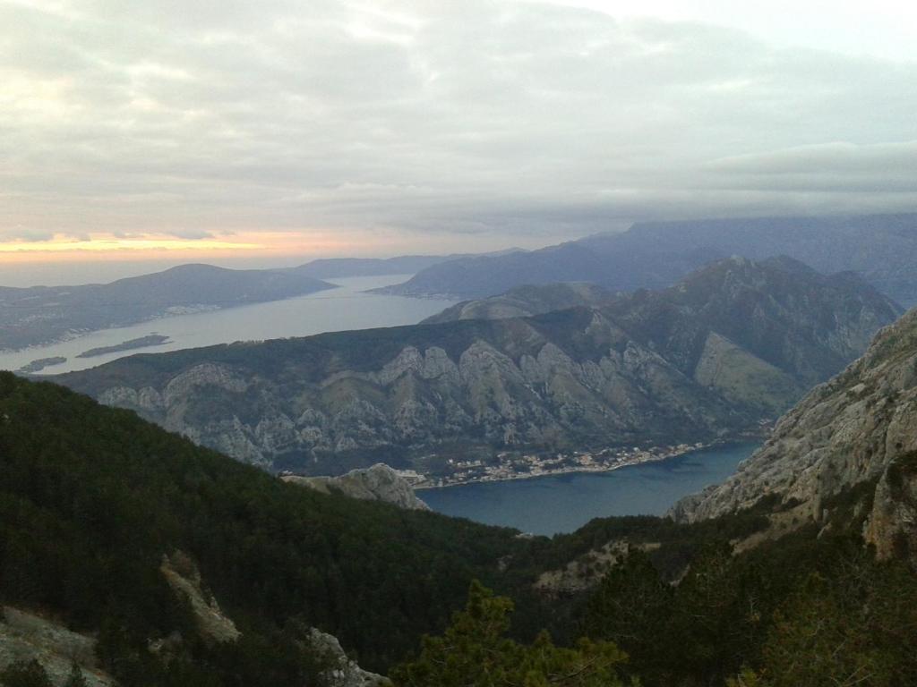 Surrounding environment