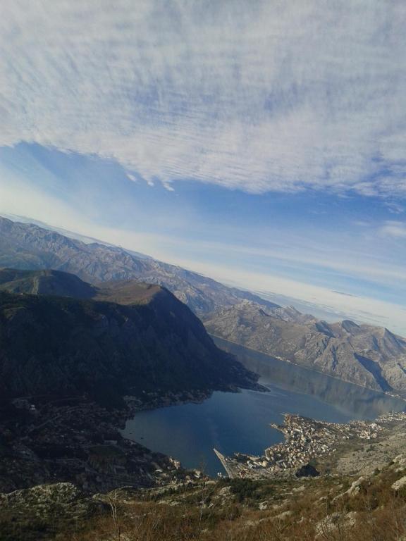 Surrounding environment