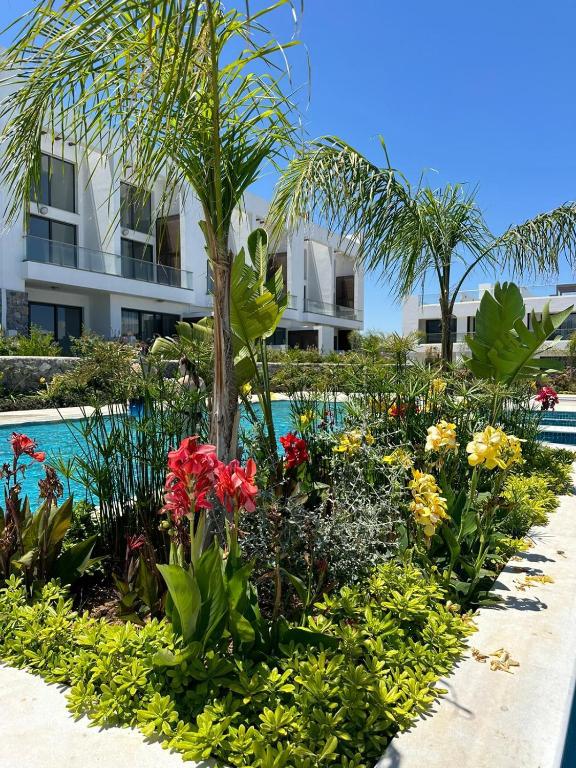 Apartament with LOVE, Bahçeli