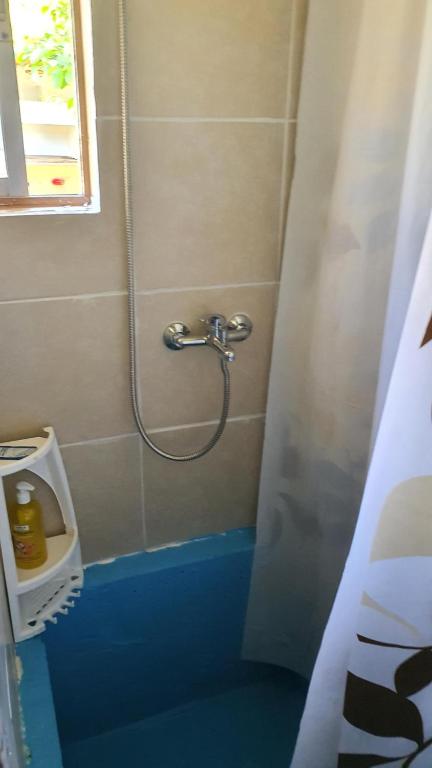 Refugio campestre a 7min de Osorno - 5