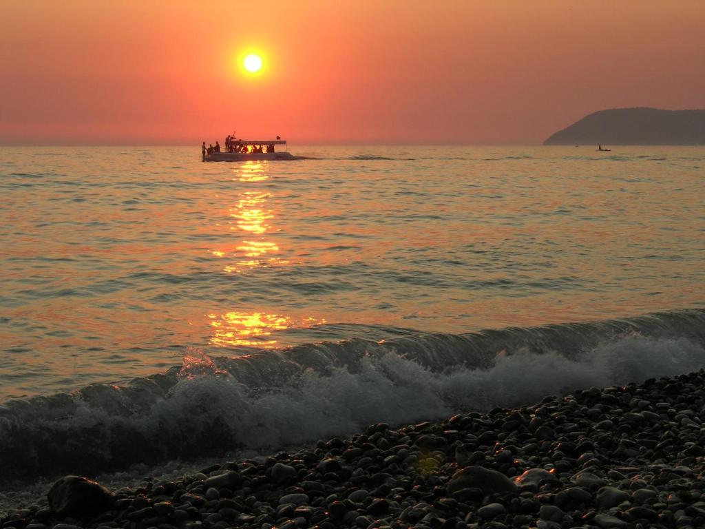 Surrounding environment