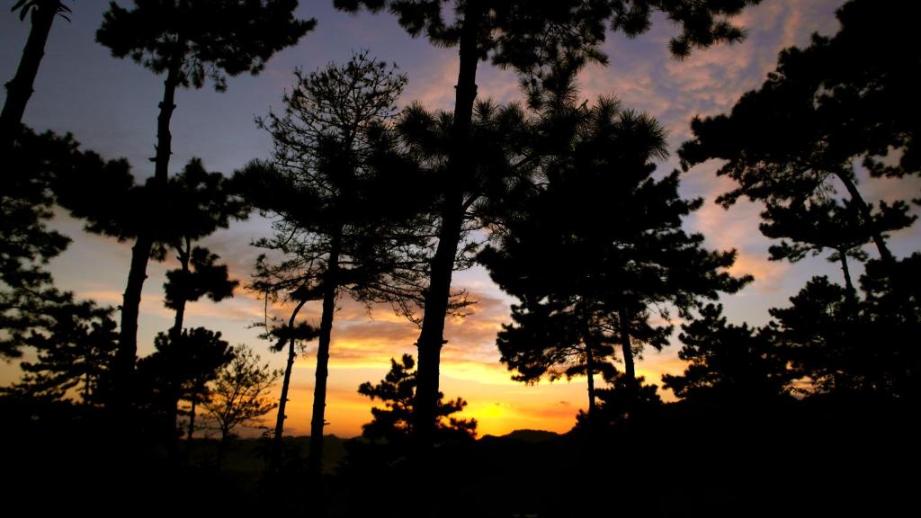 Surrounding environment