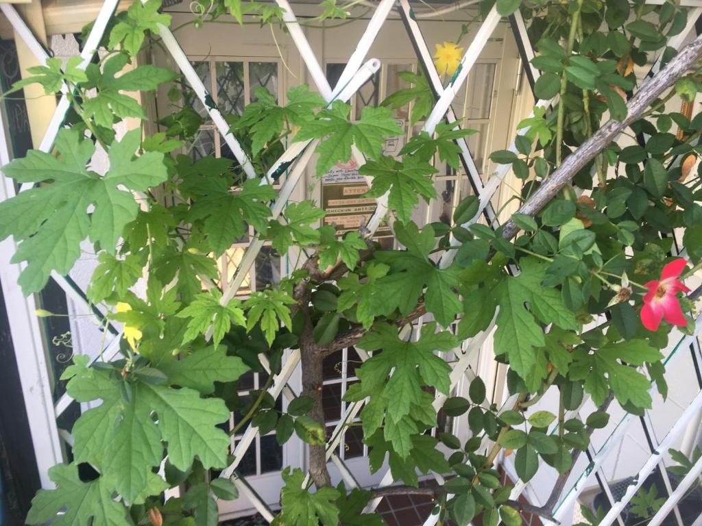 Wagyu hostel nedoko 호텔 이미지 2