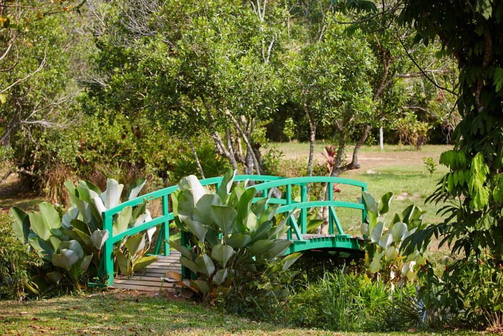 Jardí