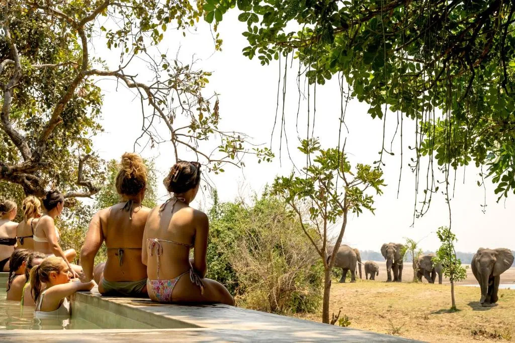 Msandile River Lodge，位于Kakumbi的酒店