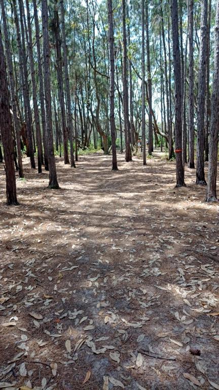 Surrounding environment