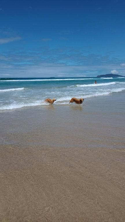 Surrounding environment