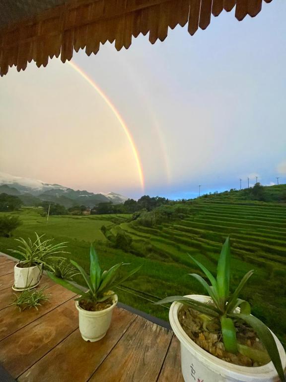 Hiếu Hương Homestay