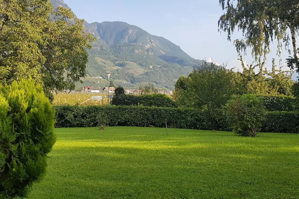 Kleine Wohnung, großer Garten! - 4