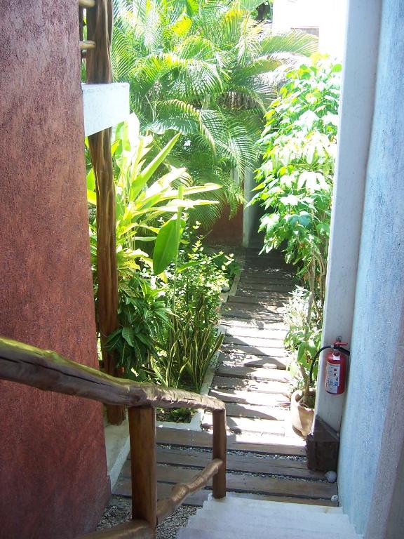 Elements of the Island - 5