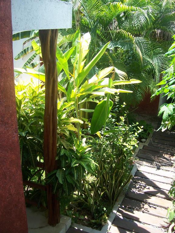 Elements of the Island - 4