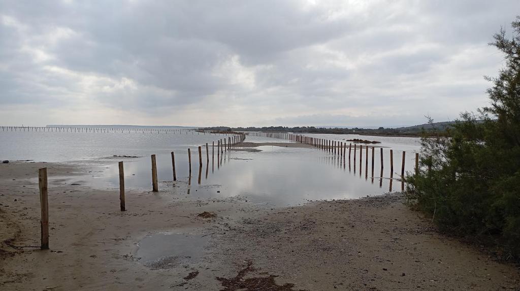 Studio Plage 200m Parking gratuit Port la Nouvelle - 4