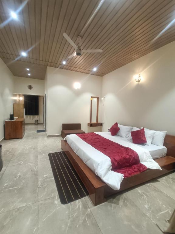 Shantadurga Homestay에서 보이는 수파리와 코코넛 나무 전망
