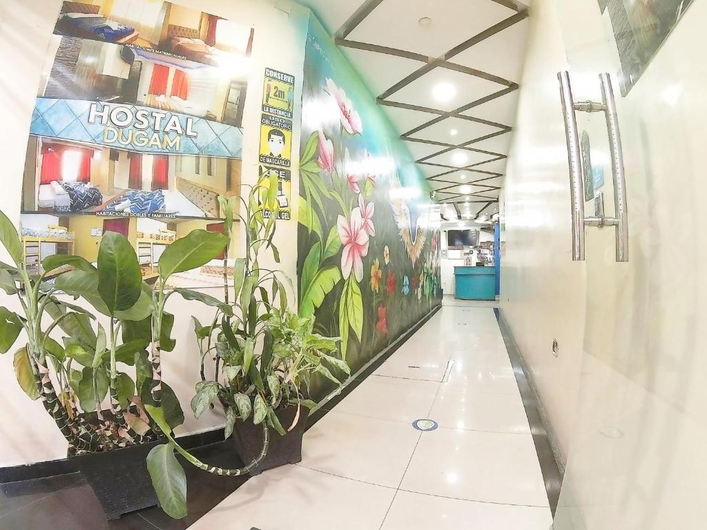 Hostal Dugan - 5