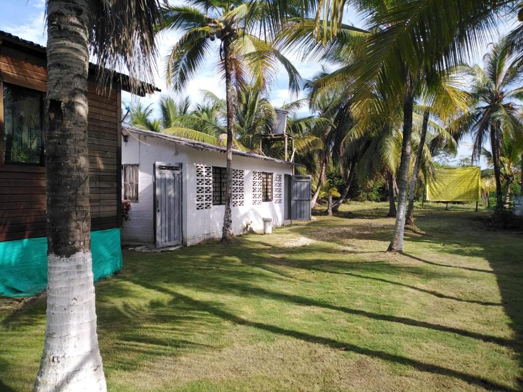 Casa de las Dos Palmas, Coveñas - 5