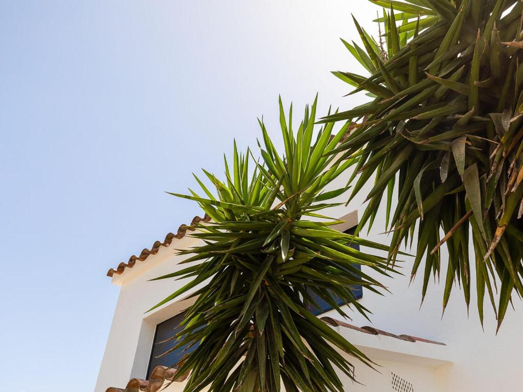 Villa de Lujo con Piscina Privada y Aparcamiento en Empuriabrava - HISP-288-67 - 5