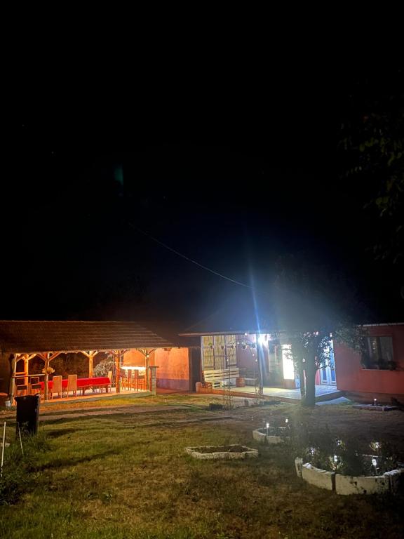 Vila Vida, Kruševac