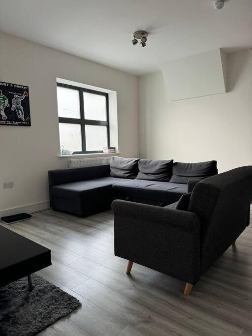 Modern Studio Apartment