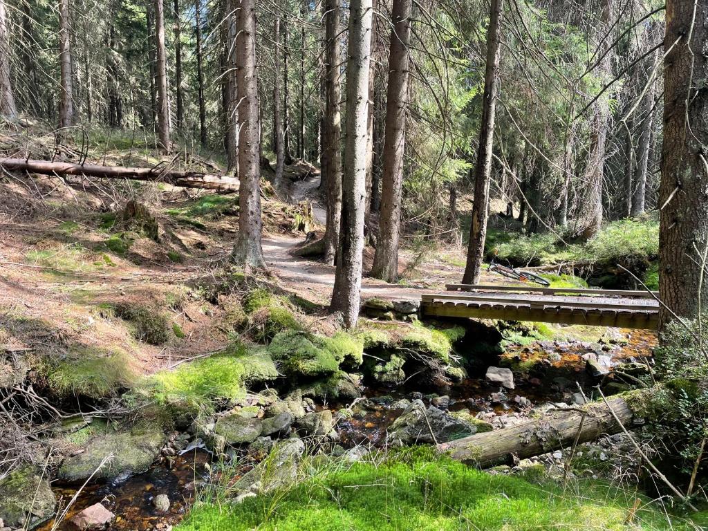 周辺観光スポット