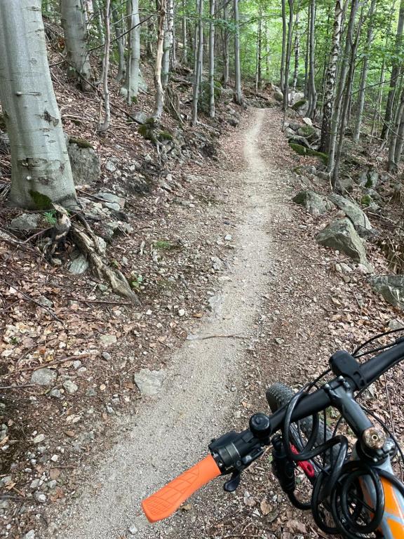 スポーツ/アクティビティ