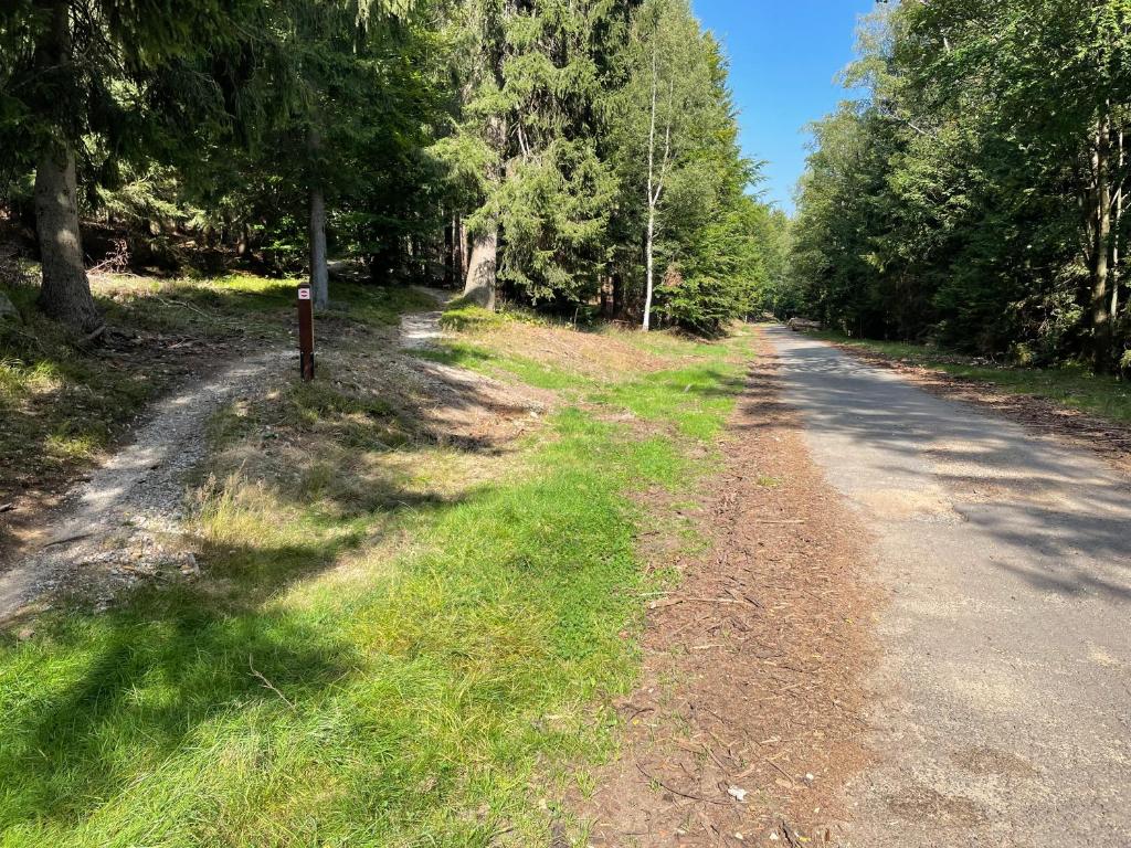 スポーツ/アクティビティ