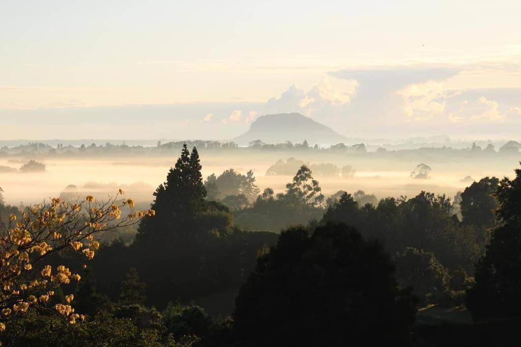 The Quails Nest Cottage, Whakamarama