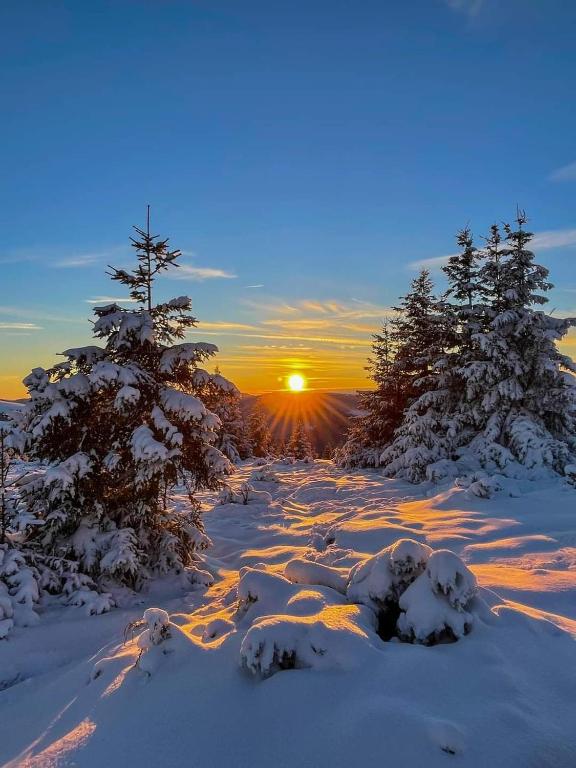 Charmant Studio La Toussuire, La Toussuire